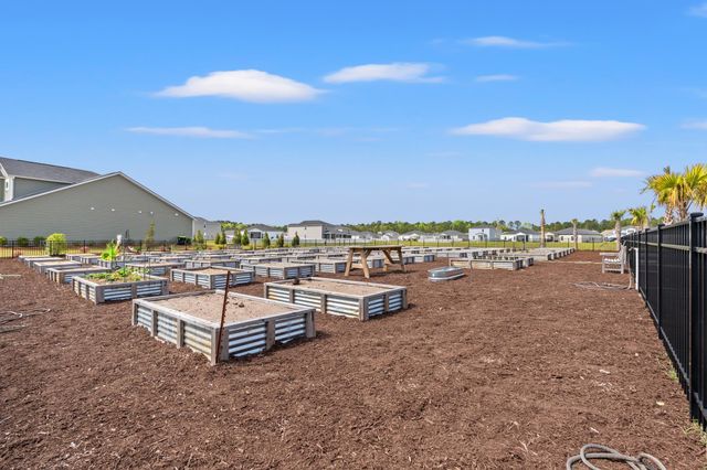 8037 Forest Edge Dr, Myrtle Beach, SC 29579