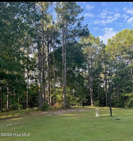 1049 Mill Creek Drive, Minnesott Beach, NC 28510