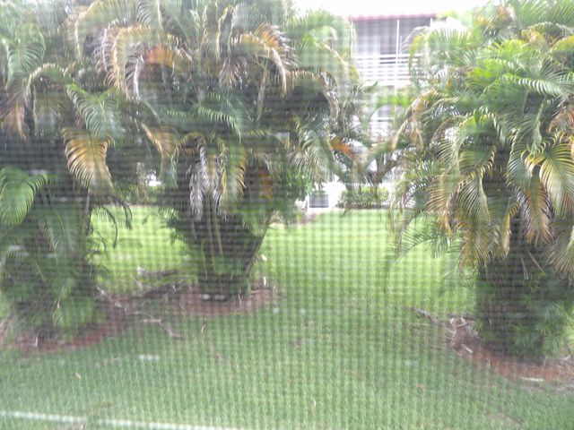 195 Fanshaw Way E 195, Boca Raton, FL 33434