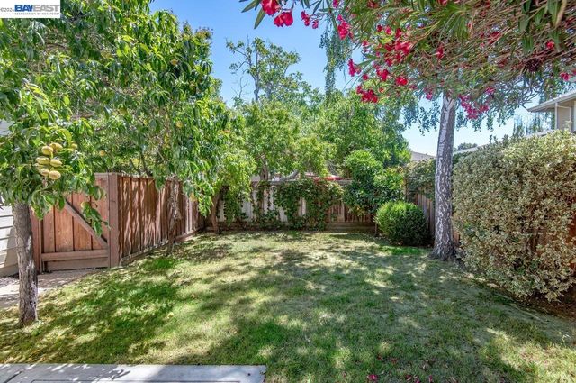 282 Del Valle Ct, Pleasanton, CA 94566