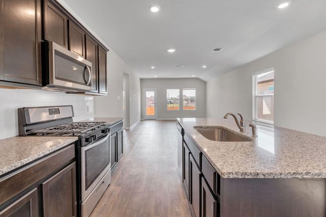585 Apache Plum DR, Kyle, TX 78640