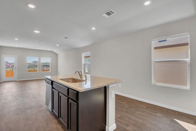 585 Apache Plum DR, Kyle, TX 78640