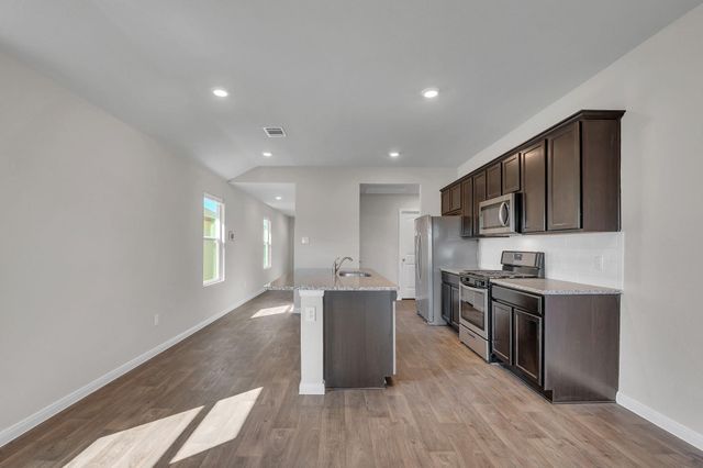 585 Apache Plum DR, Kyle, TX 78640