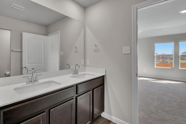 585 Apache Plum DR, Kyle, TX 78640