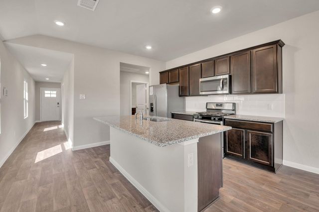 585 Apache Plum DR, Kyle, TX 78640