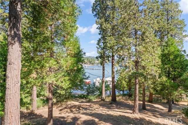 207 Blue Lake Road, Lake Arrowhead, CA 92352