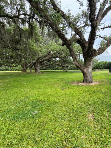 8210 DOWN ROYAL ROAD, Tampa, FL 33610