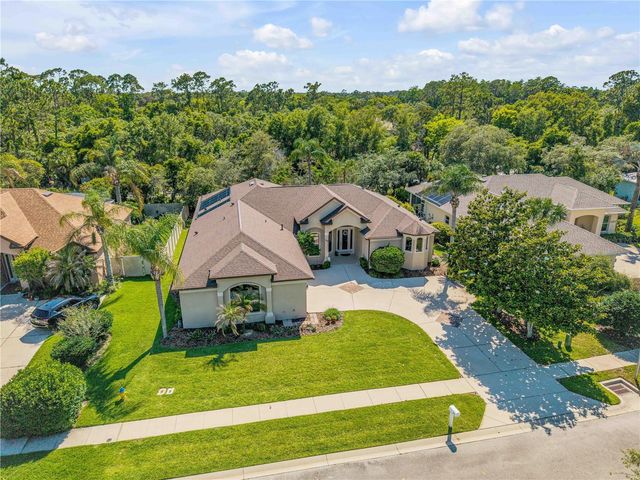 315 EAGLES EYE COURT, New Smyrna Beach, FL 32168
