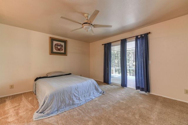 25783 Sugar Pine Dr, Pioneer, CA 95666