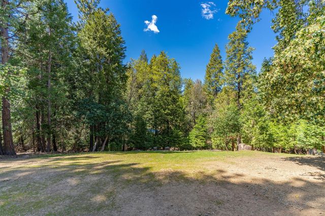 25783 Sugar Pine Dr, Pioneer, CA 95666