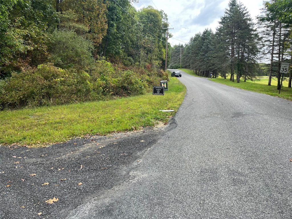 1154 Cold Spring Road Cold Spring Road, Clinton Corners, NY 12514