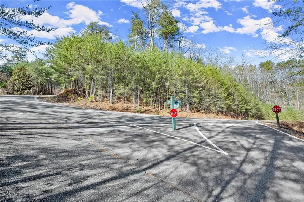 1001 Black Bear Trail, Big Canoe, GA 30143