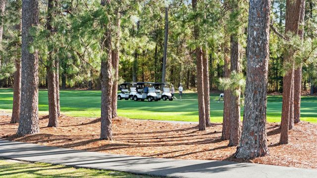 1700 Wood Stork Dr., Conway, SC 29526