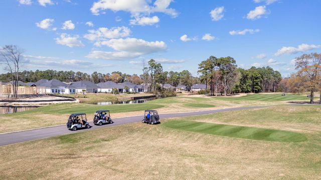 1700 Wood Stork Dr., Conway, SC 29526