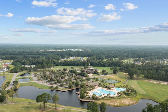 1700 Wood Stork Dr., Conway, SC 29526