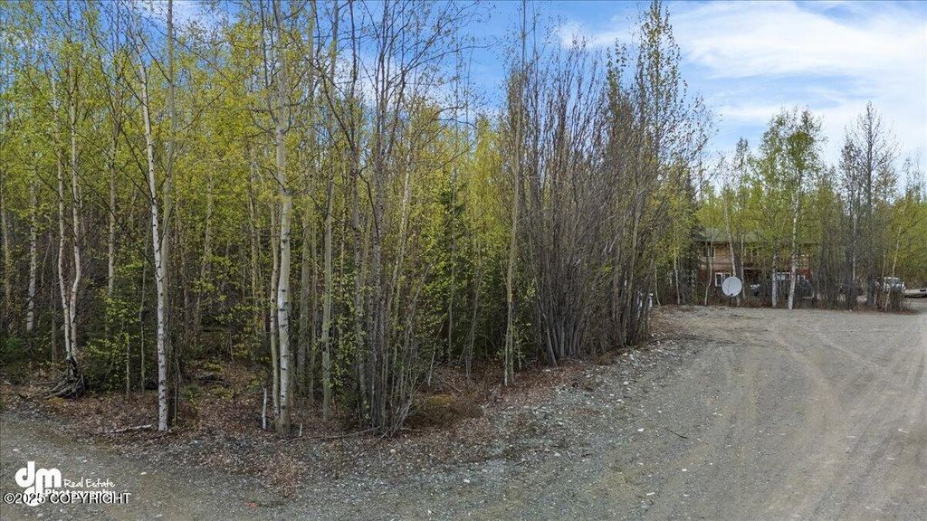 638 S Harlindon Dale Circle, Wasilla, AK 99654