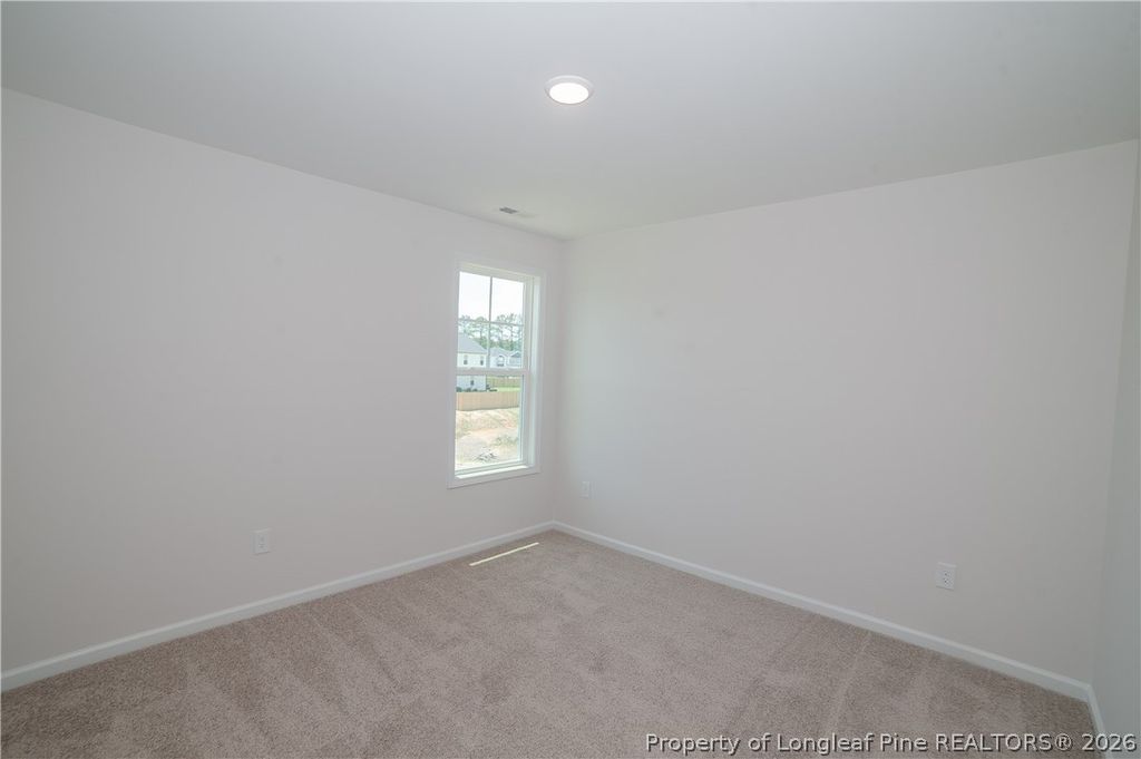 350 Palomo Place, Raeford, NC 28376 — photo 24