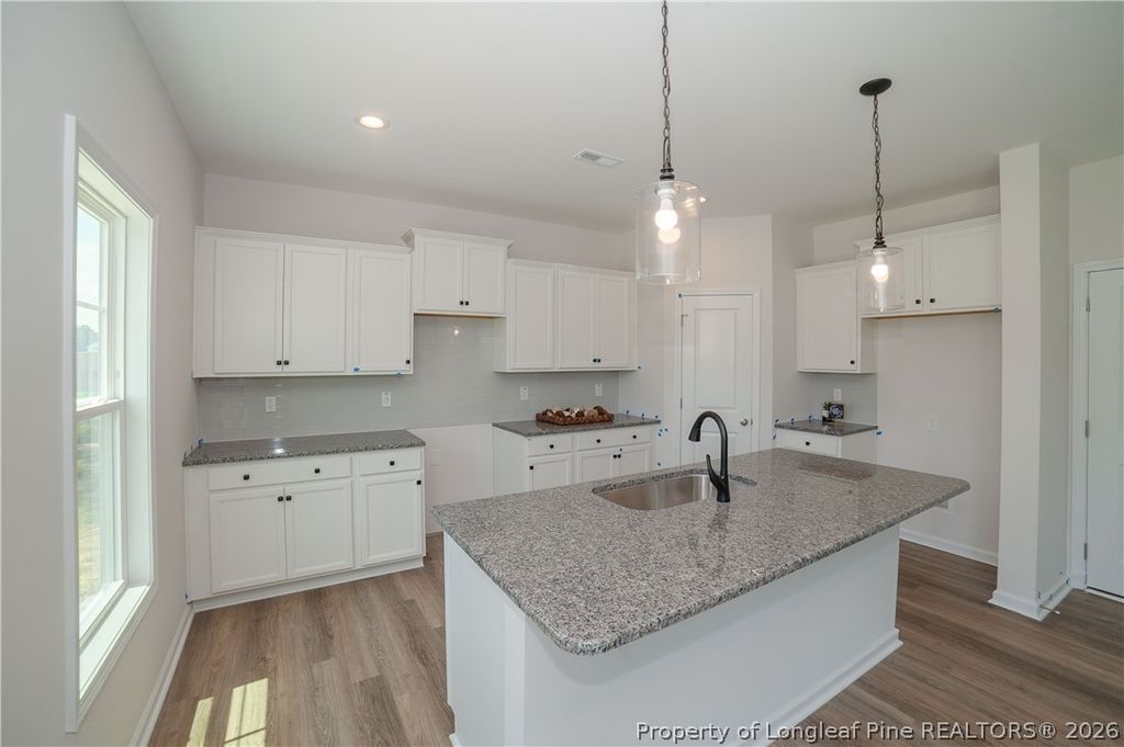 350 Palomo Place, Raeford, NC 28376 — photo 3