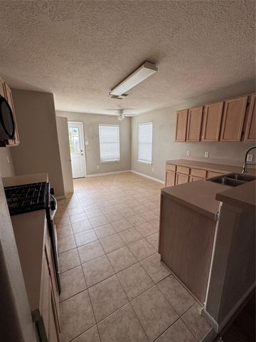 19419 Woolongong Drive, Katy, TX 77449