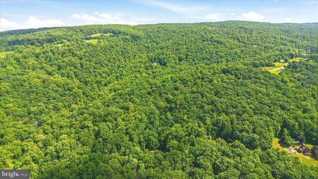 99 CAREFREE LN, Boyce, VA 22620