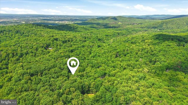 99 CAREFREE LN, Boyce, VA 22620