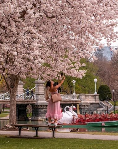 15 River 507, Boston, MA 02108