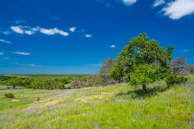 0 Jung Rd, Harper, TX 78631