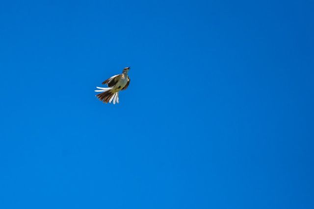 0 Jung Rd, Harper, TX 78631