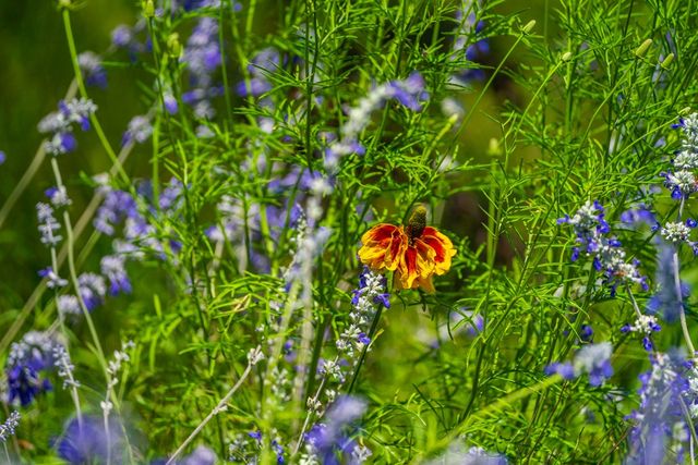 0 Jung Rd, Harper, TX 78631