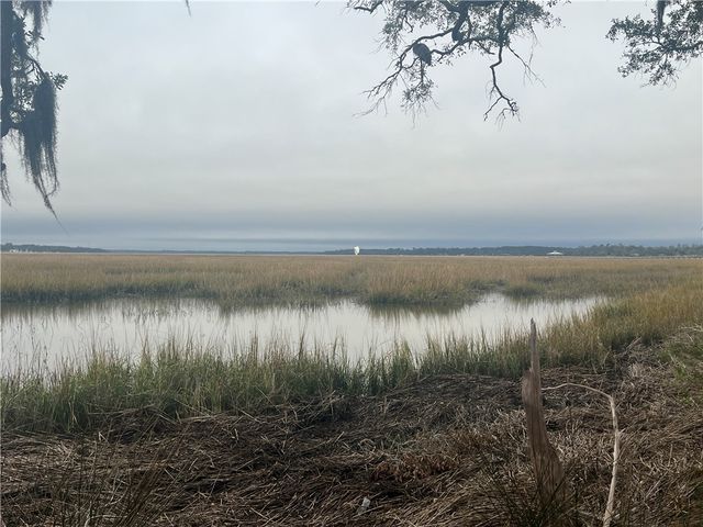 LOT 309 COOPER'S POINT Drive NE, Townsend, GA 31331