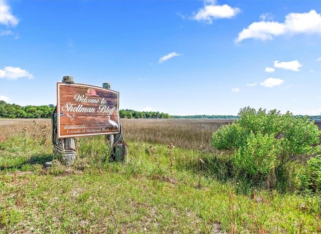 LOT 309 COOPER'S POINT Drive NE, Townsend, GA 31331