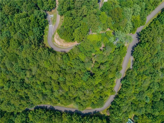 LT103R Mountain Creek Hollow Drive, Talking Rock, GA 30175