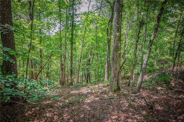 LT103R Mountain Creek Hollow Drive, Talking Rock, GA 30175
