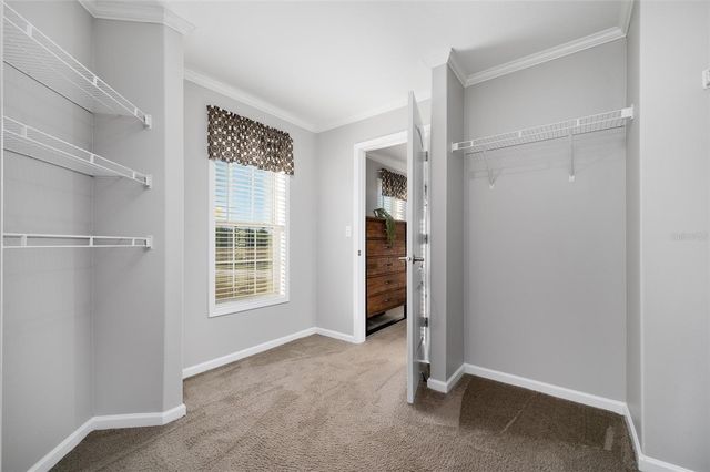 3789 NW 202ND STREET, Newberry, FL 32669