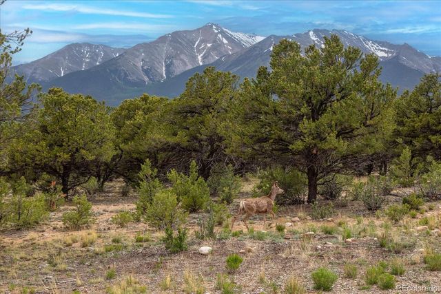 29258 Sage Lane, Buena Vista, CO 81211