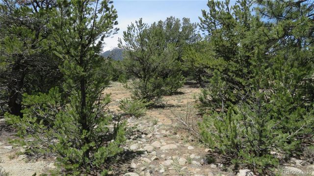 29258 Sage Lane, Buena Vista, CO 81211