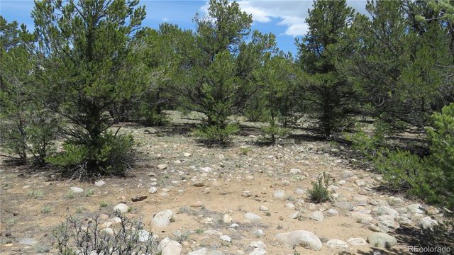29258 Sage Lane, Buena Vista, CO 81211