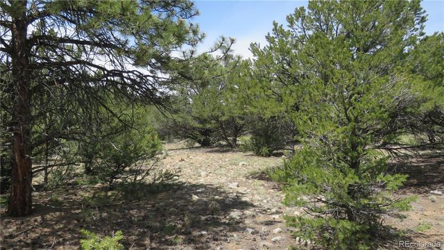 29258 Sage Lane, Buena Vista, CO 81211