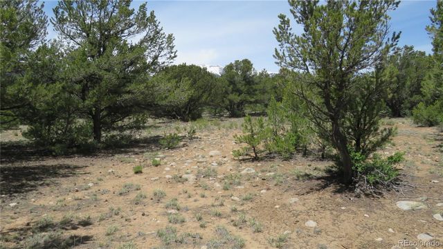 29258 Sage Lane, Buena Vista, CO 81211