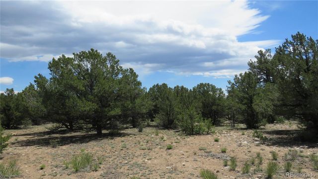 29258 Sage Lane, Buena Vista, CO 81211