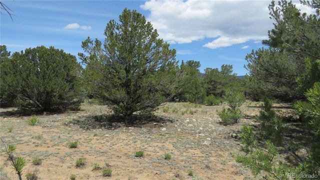29258 Sage Lane, Buena Vista, CO 81211