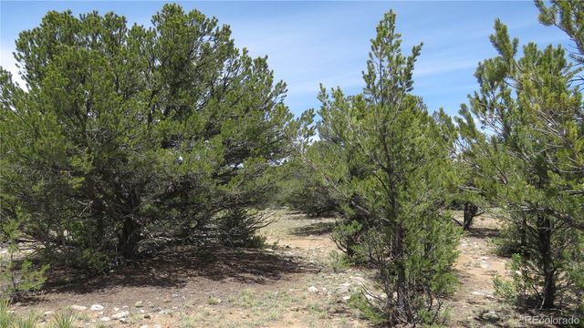 29258 Sage Lane, Buena Vista, CO 81211