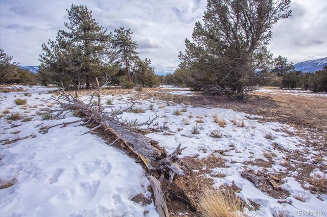 29258 Sage Lane, Buena Vista, CO 81211