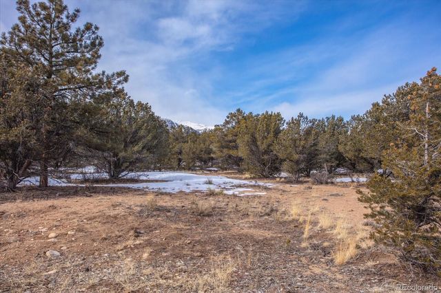 29258 Sage Lane, Buena Vista, CO 81211
