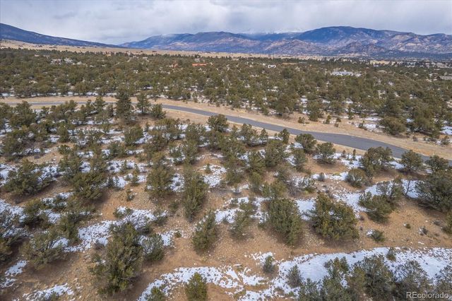 29258 Sage Lane, Buena Vista, CO 81211
