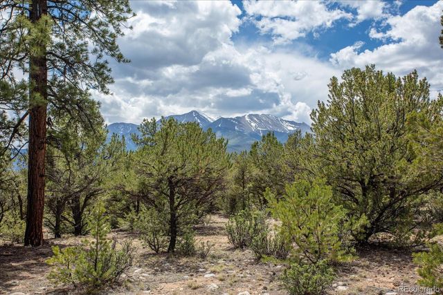 29258 Sage Lane, Buena Vista, CO 81211