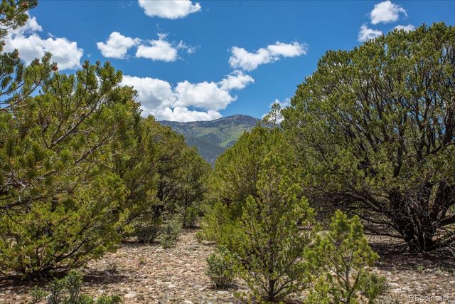 29258 Sage Lane, Buena Vista, CO 81211