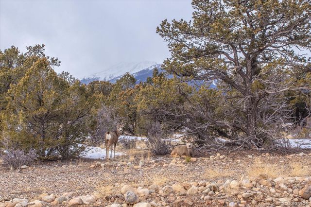 29258 Sage Lane, Buena Vista, CO 81211