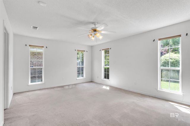13107 E Concord Drive, Lillian, AL 36549