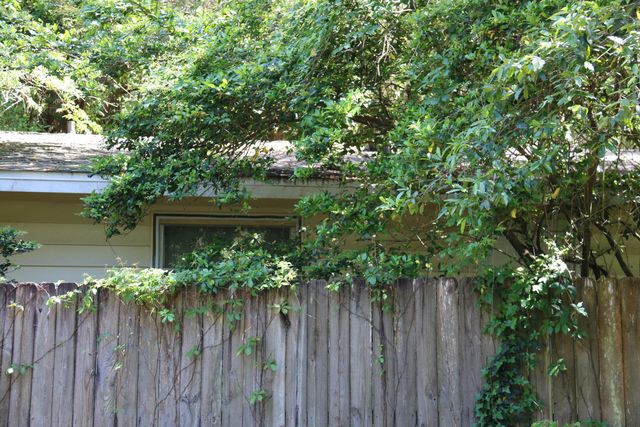 922 Mcfarlan Avenue, Fort Walton Beach, FL 32547